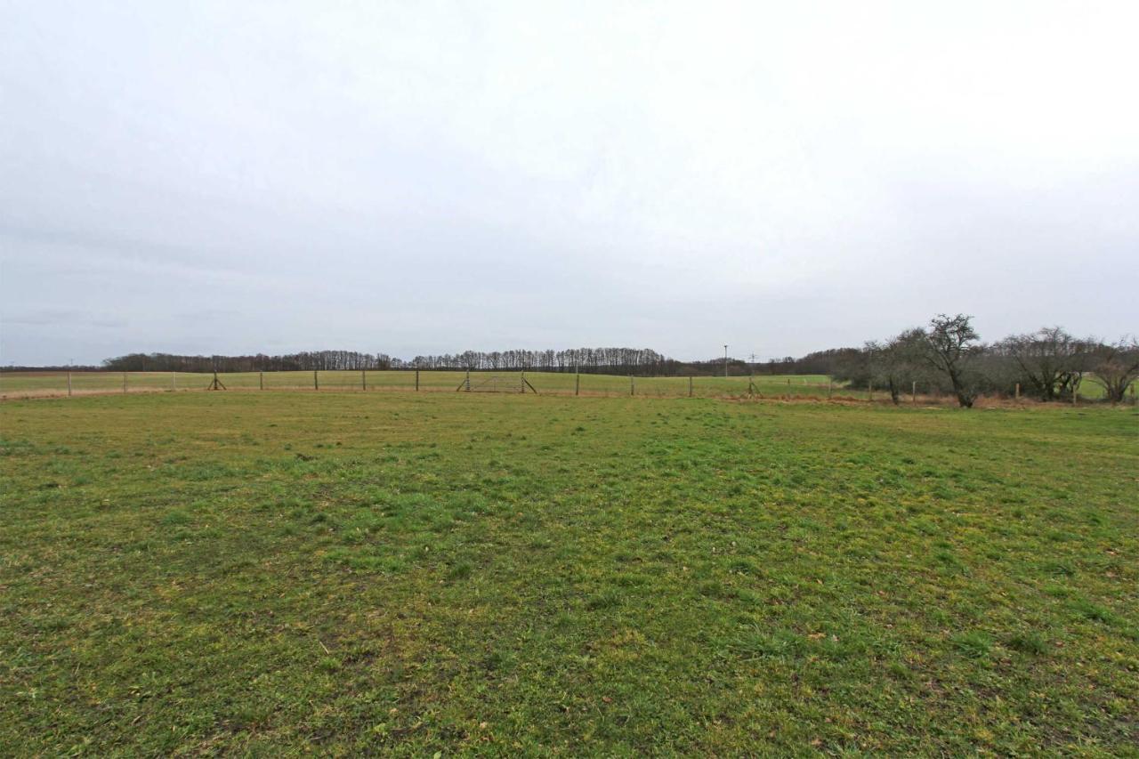 Ferienwohnungen Wredenhagen See 10860 外观 照片